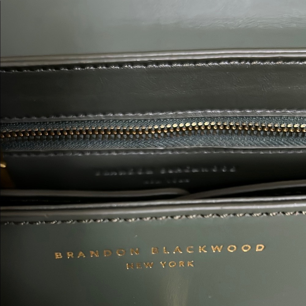 Brandon Blackwood - Bowen Bag (Green) - Picture 4 of 8